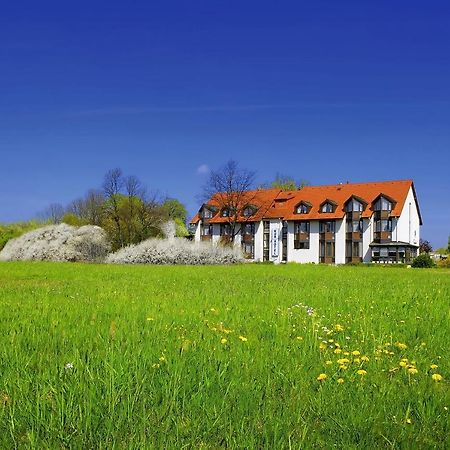 Kurhotel Bad Schmiedeberg Buitenkant foto